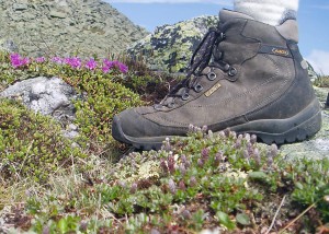 A comfortable pair of hiking boots can be your companions for a long, long time and take you to many beautiful places