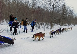 This  group of cross-country skiers headed for the AMC Camp at Little Lyford Pond  suddenly found themselves caught up in the heat of competition in the annual 100-Mile Wilderness Sled Dog Race. That’s active spectating at its best!