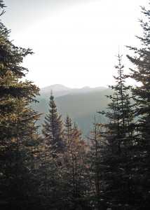 MountainCabin1 Room with a view. Though the cabin was tiny, the view was breathtaking, looking toward the peak of Mount Washington.