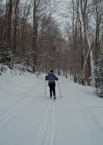 Splendid isolation. No people, no tracks, just the woods and lots and lots of fresh snow while cross country skiing on “Mountain Road,” part of the trail system at the Bretton Woods Nordic Center