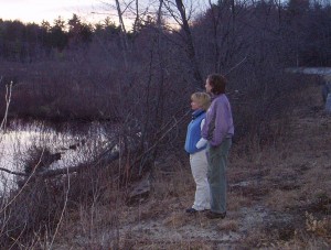 Walk quietly beside a pond as the sun sets at this time of year and you can hear Spring singing to you.