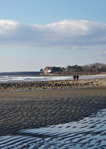 A walk on the beach in the dead of winter is a wonderful way to enjoy the season. There’s a whole world out there to explore.