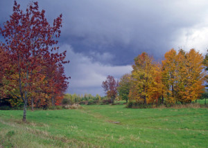 The foliage display around Lac Brome was spectacular