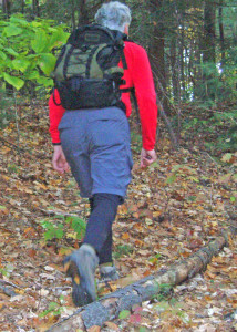 LJHiker2small