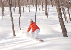 New glades are on tap at Sugarbush Resort in Warren, Vermont for the 2009/10 season. photo courtesy of Ski Vermont.