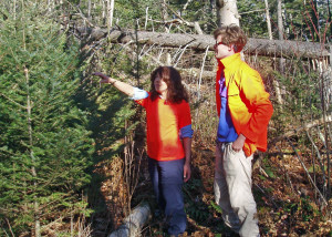 It takes time and discussion to find and agree on which tree in the forest is “just right.” These little balsams lived to grow another year. Photo by Tim Jones