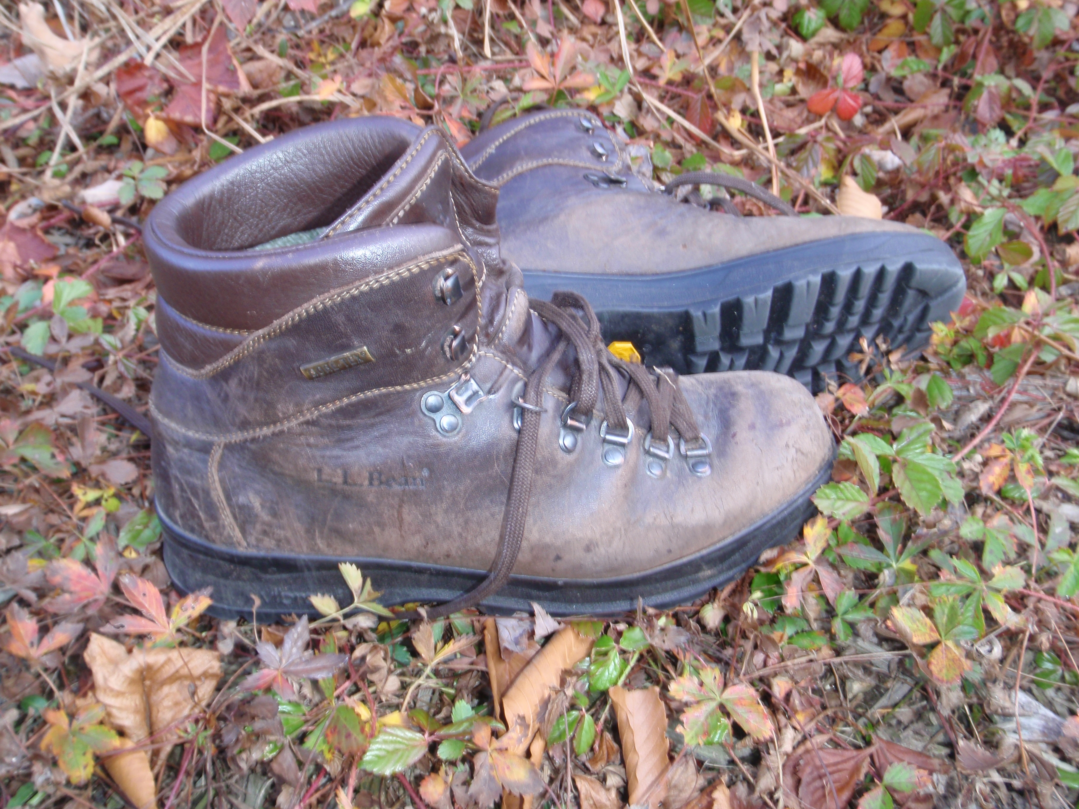 L.L. Bean Gore-Tex Cresta Leather Hikers