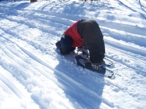 Max Doing Snowshoe Yoga