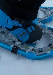 LL Bean binding