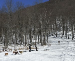Lincoln Gap