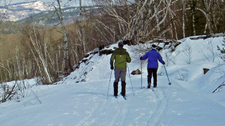 Tracks or no tracks, the Alpina "Discovery" can take you just about anywhere, (Tim Jones photo)