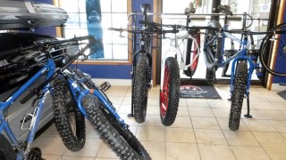 Stan and Dan fatbike rental fleet