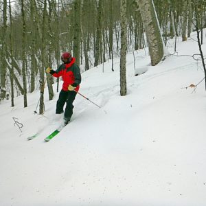 Tim enjoying fresh lines in The Wild; BMOM has really moved up into the top tier of glade skiing in the area. (EasternSlopes.com)