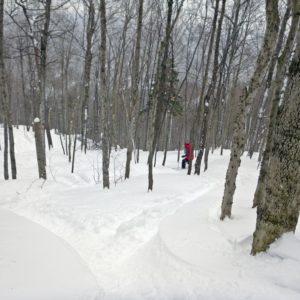 Even at lunchtime, there's still plenty of fresh in BMOM's glades. For $20, it's hard to beat! (EasternSlopes.com)
